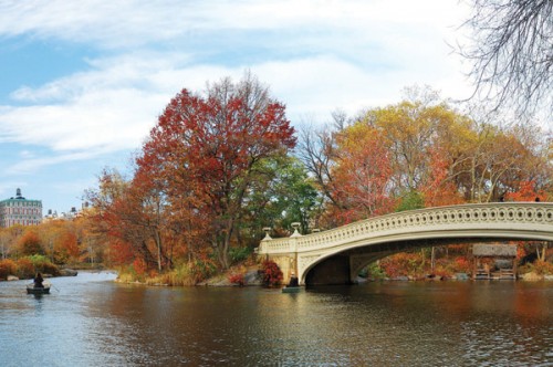 new-york-central-park-bridge